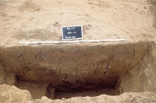 Foto: Das durch einen mittig angelegten Profilschnitt gewonnene Profil einer urnenfelderzeitlichen Grube mit sichtbarer Keramik in der Verfüllung.